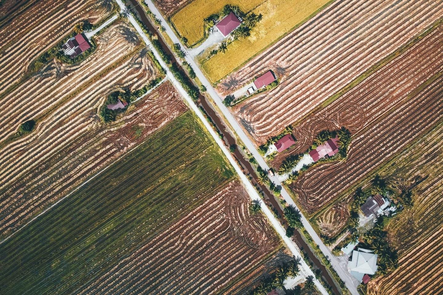 Top-down aerial view of rural farm parcels along a country road